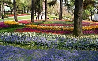 İstanbul’da Güzel Havalar