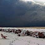 © Abdullah Agah Öncül