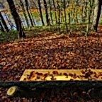 © Abdullah Agah Öncül