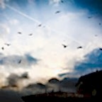 © Karina Turchanova