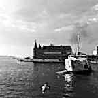 © Leyla Kübra İnce