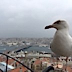 Şeyhmus Tan © Galata kulesi