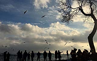 Begüm Yılmaz © İstanbul Boğazı