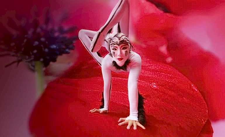 Cirque du Soleil’in En Büyük ve En Çarpıcı Gösterisi OVO İstanbul’da
