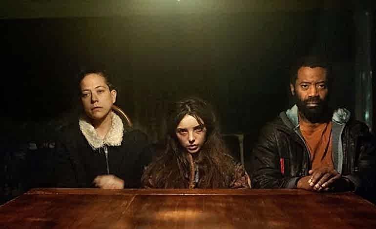 Kurt, Tilki Ve Leopar